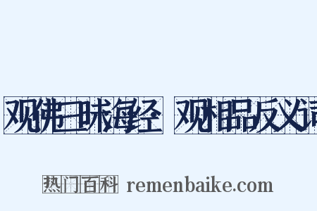 观佛三昧海经·观相品反义词是什么意思的图片